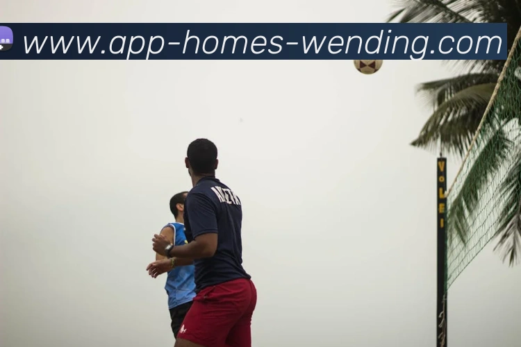 问鼎娱乐app服务体系